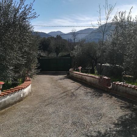 Casa Fra Gli Ulivi Di Giuseppe Pension Sonnino Buitenkant foto
