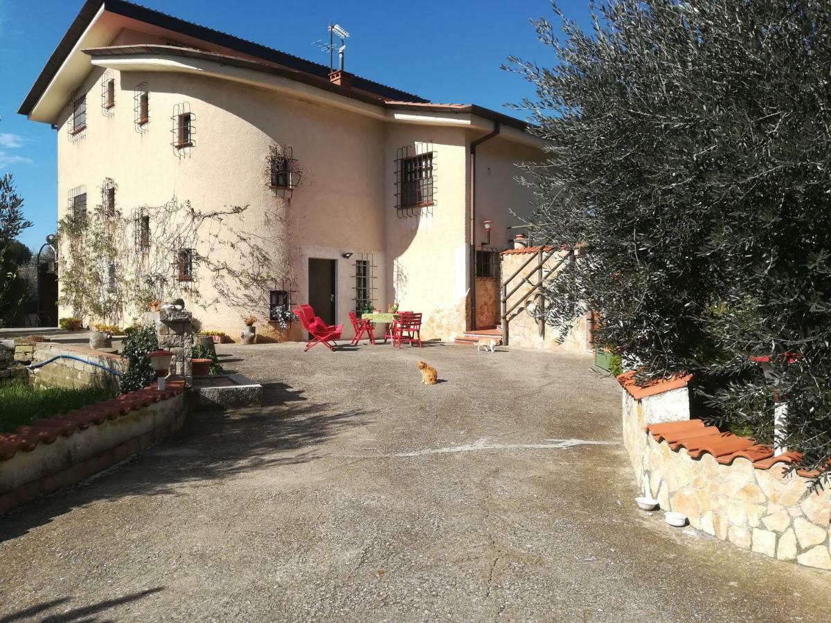 Casa Fra Gli Ulivi Di Giuseppe Pension Sonnino Buitenkant foto