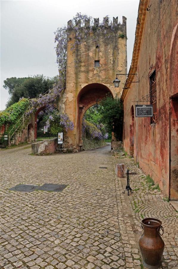 Casa Fra Gli Ulivi Di Giuseppe Pension Sonnino Buitenkant foto